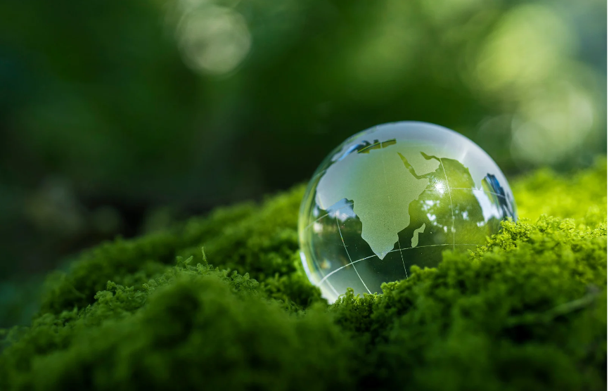 Il valore delle norme per un mondo più sostenibile